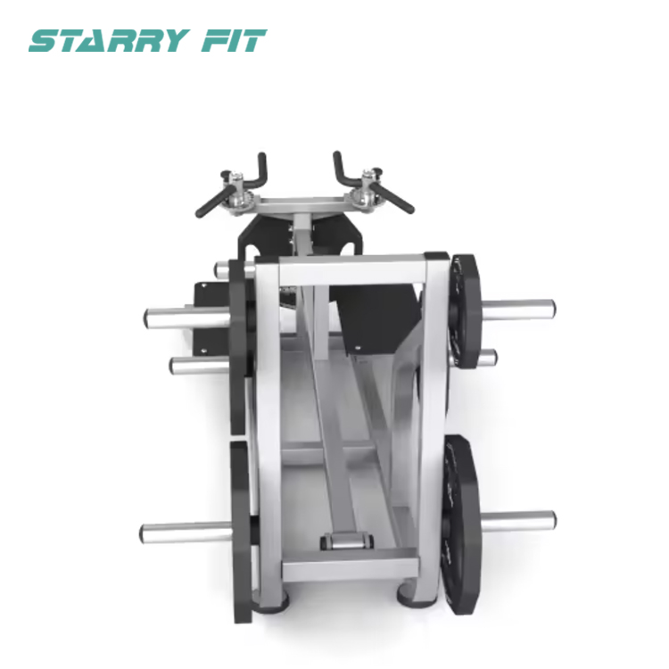 Rząd teowników<br />NT-P-TR Rząd teowników<br />NT-P-TR